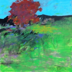Red Maple, 50” x 50” Acrylic on canvas